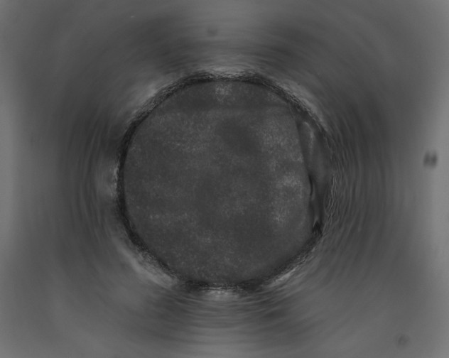 X0000092320596200710121524