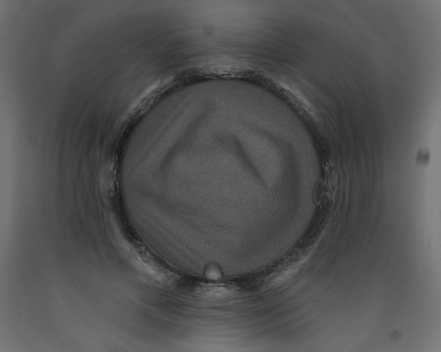 X0000092320597200710121524