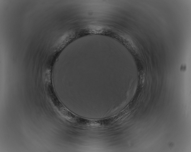X0000092320598200710121524