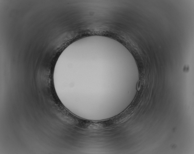 X0000092320599200710121524