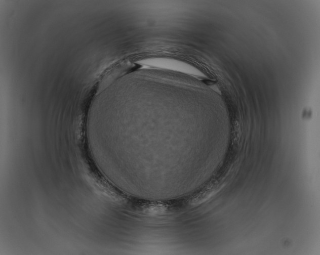 X0000092320600200710121524
