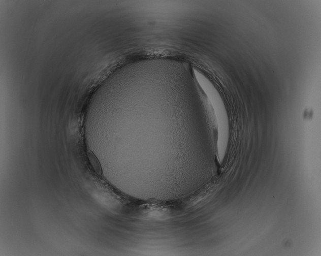 X0000092320601200710121524