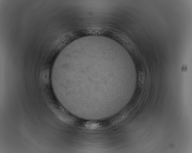 X0000092320602200710121524