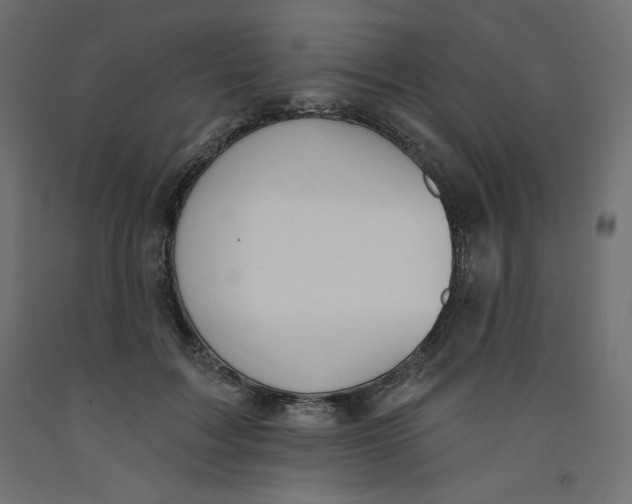 X0000092320603200710121524