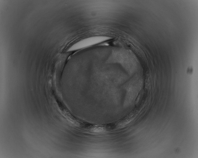 X0000092320604200710121524
