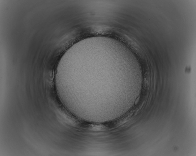 X0000092320605200710121524