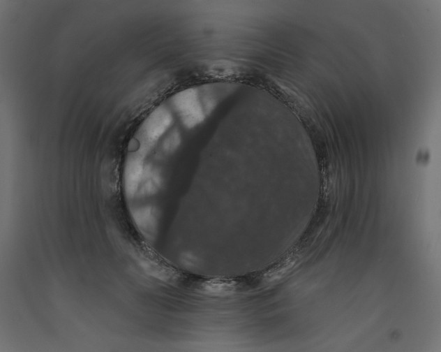 X0000092320606200710121524