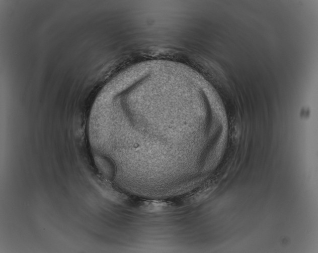 X0000092320607200710121524