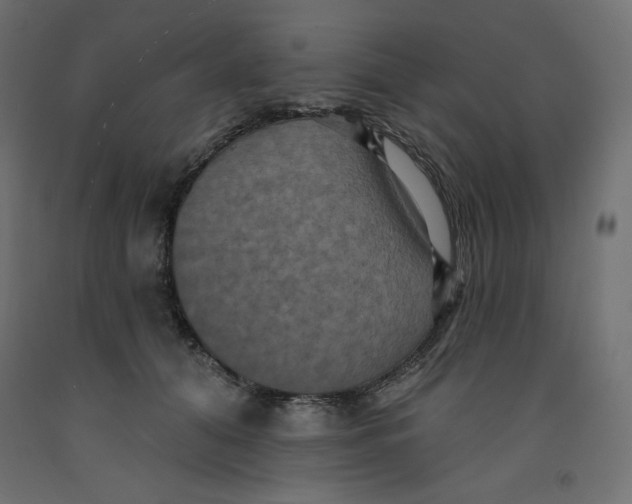 X0000092320608200710121524