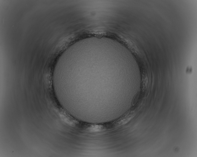 X0000092320609200710121524