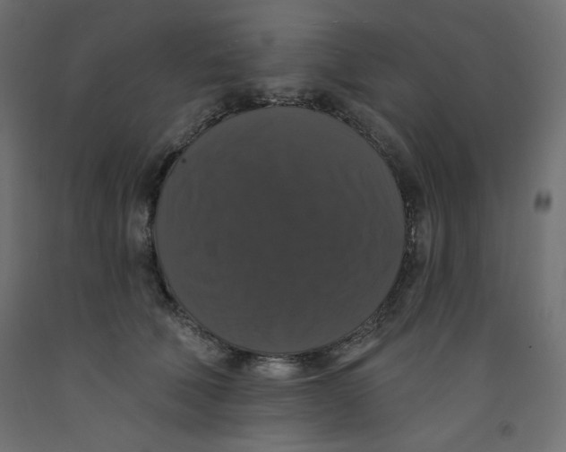 X0000092320610200710121524