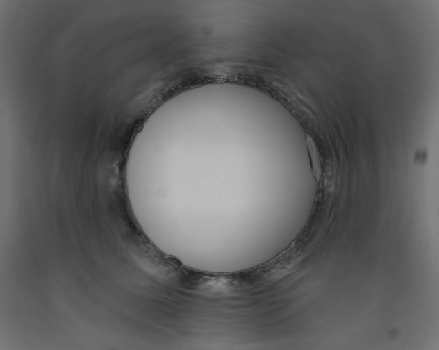X0000092320611200710121524