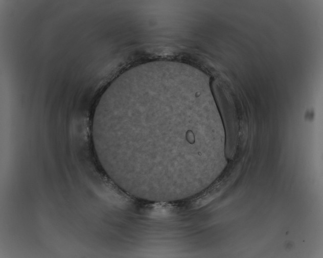 X0000092320612200710121524
