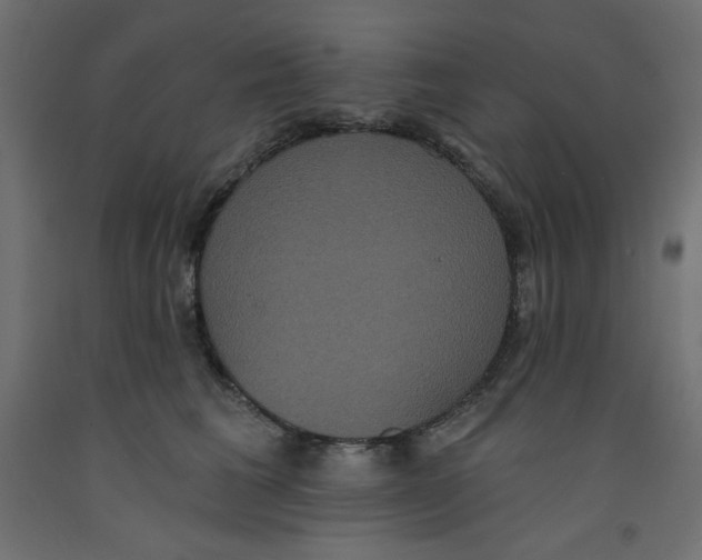X0000092320613200710121524