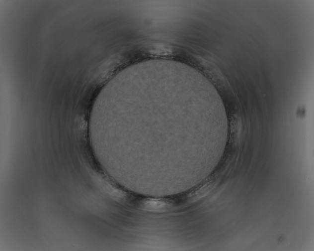 X0000092320614200710121524