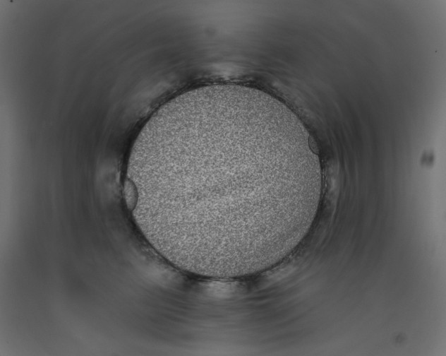 X0000092320615200710121524