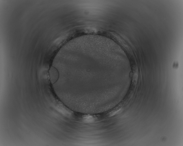 X0000092320616200710121524