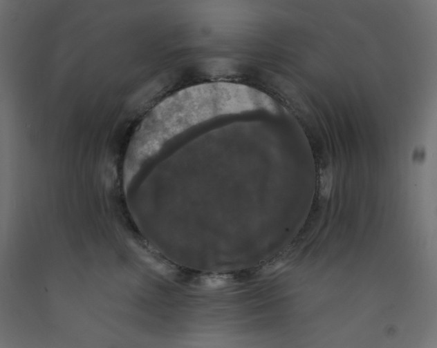 X0000092320618200710121524