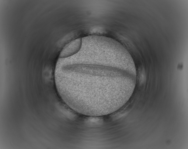 X0000092320619200710121524