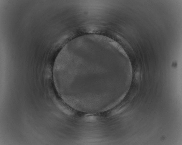 X0000092320620200710121524
