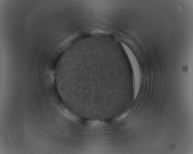 X0000092320621200710121523