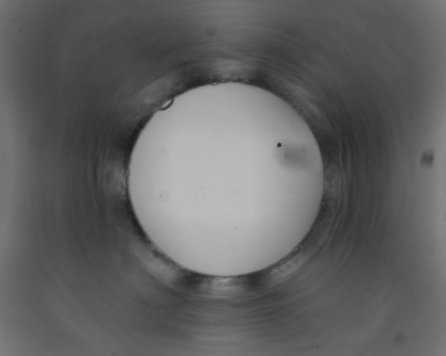 X0000092320622200710121523