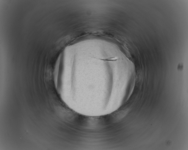 X0000092320623200710121523