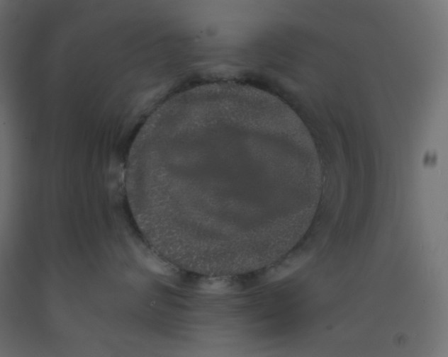 X0000092320624200710121523