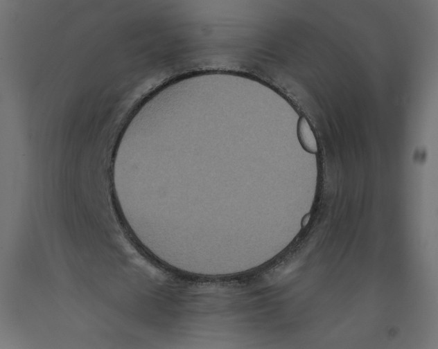 X0000092320625200710121523