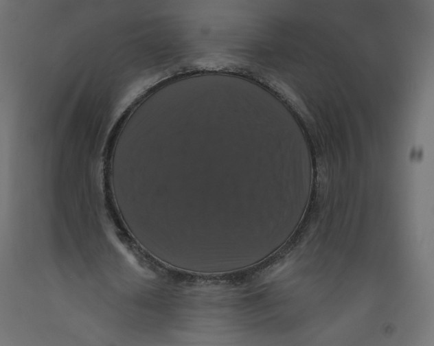 X0000092320626200710121523