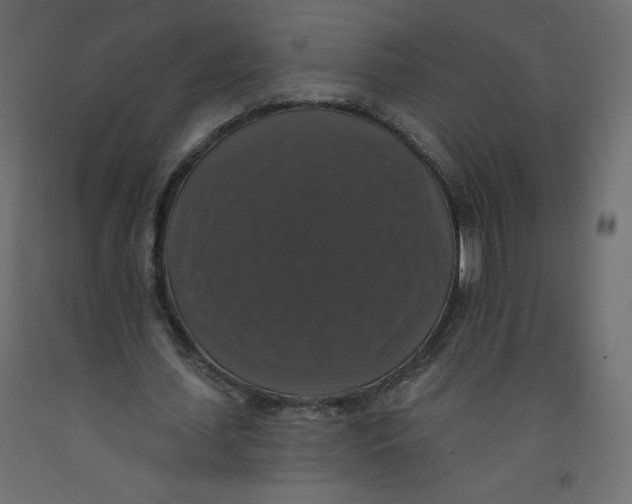 X0000092320627200710121523