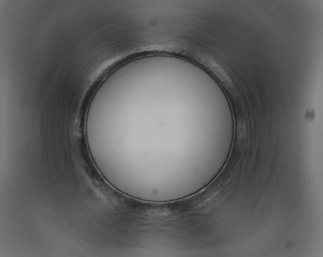 X0000092320628200710121523