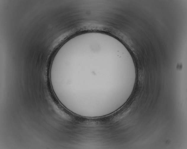 X0000092320629200710121523