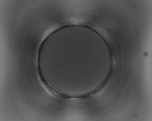 X0000092320630200710121523