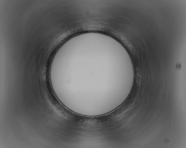 X0000092320631200710121523