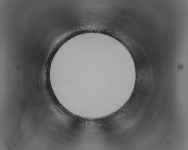 X0000092320632200710121523