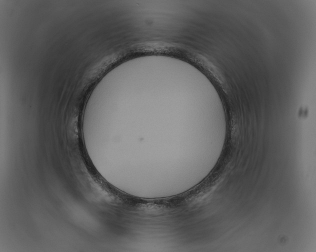 X0000092320633200710121523