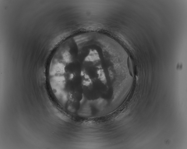 X0000092320634200710121523