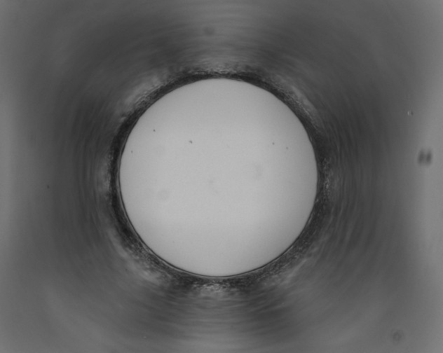 X0000092320635200710121523
