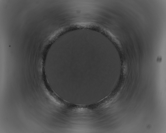 X0000092320637200710121523
