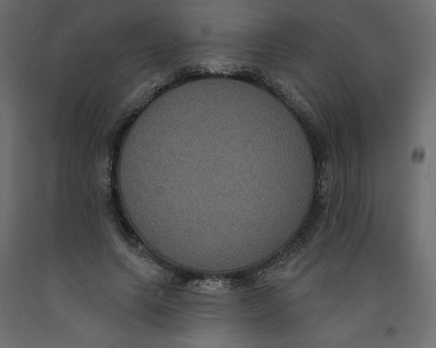 X0000092320639200710121523