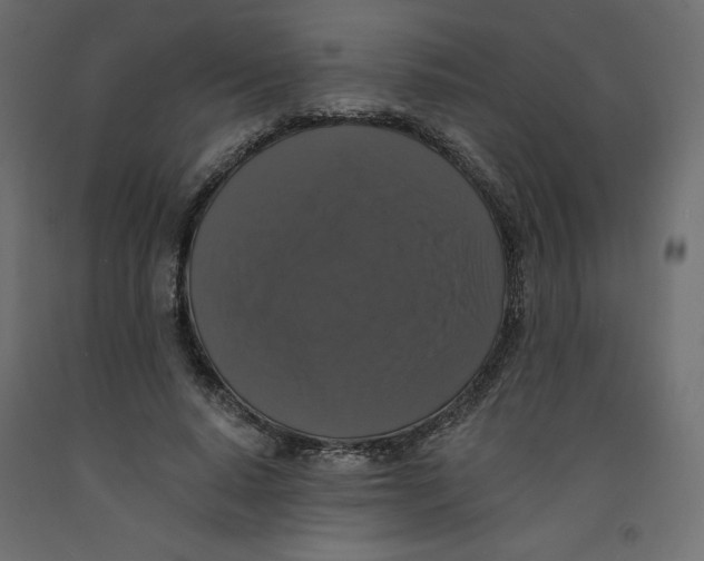 X0000092320640200710121523