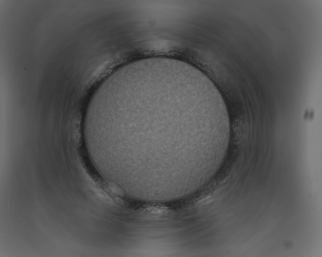 X0000092320642200710121523