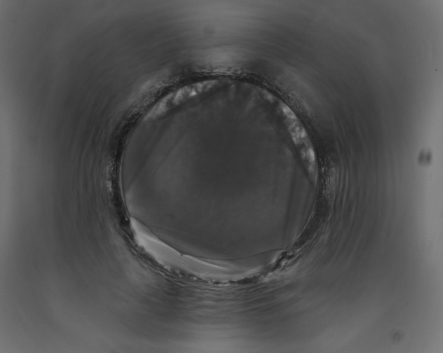 X0000092320643200710121523