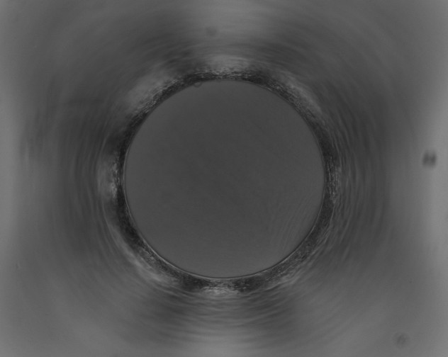 X0000092320644200710121523