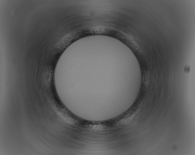 X0000092320645200710121523
