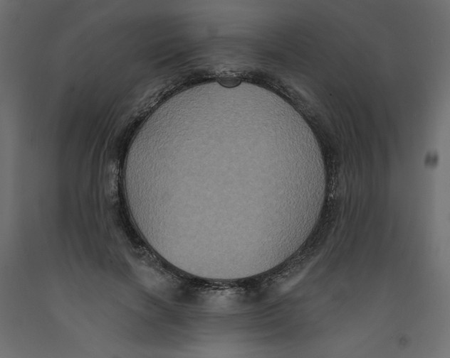 X0000092320646200710121523