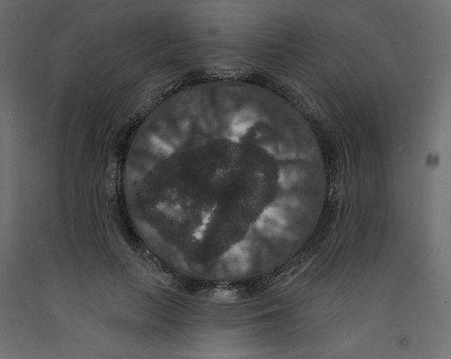 X0000092320647200710121523