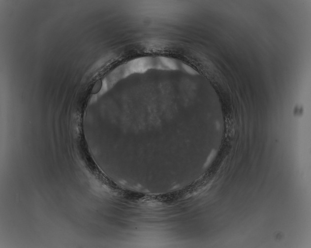 X0000092320648200710121523