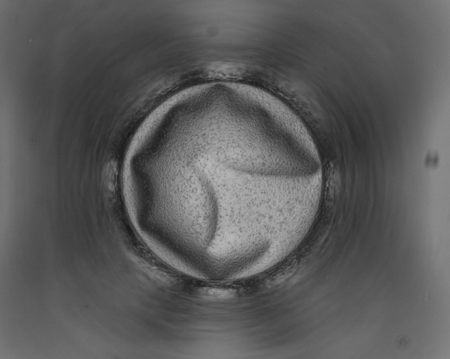 X0000092320649200710121523